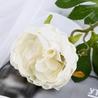 Цветок искусственный "Пышный пион" 7х47 см белый - фото 809131766