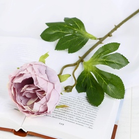 Цветы искусственные «Пышный пион», 7?47 см, сиреневые (комплект 2 шт)