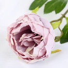 Цветок искусственный 'Пышный пион' 7х47 см - фото 809296749