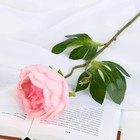 Цветок искусственный "Пышный пион" 7х47 см, розовый - фото 2137627