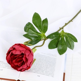 Цветы искусственные «Пышный пион», 7?47 см, бордовые (комплект 2 шт)