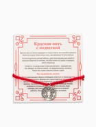 Браслет-оберег «Красная нить» на богатство, монетка, цвет серебро, 35 см (комплект 2 шт) - фото 61527780