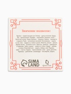 Браслет-оберег «Красная нить» на богатство, монетка, цвет серебро, 35 см (комплект 2 шт) - фото 61527782