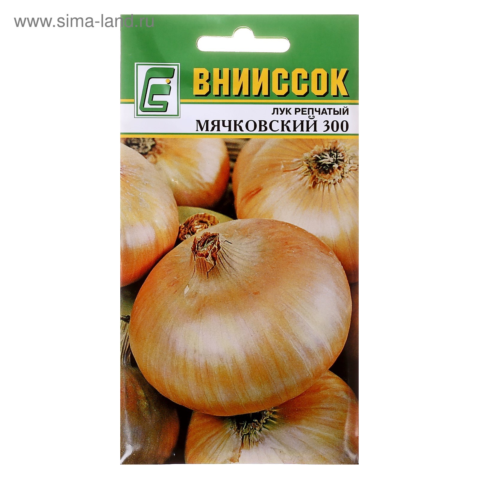 Лук мячковский фото Лук мячковский фото