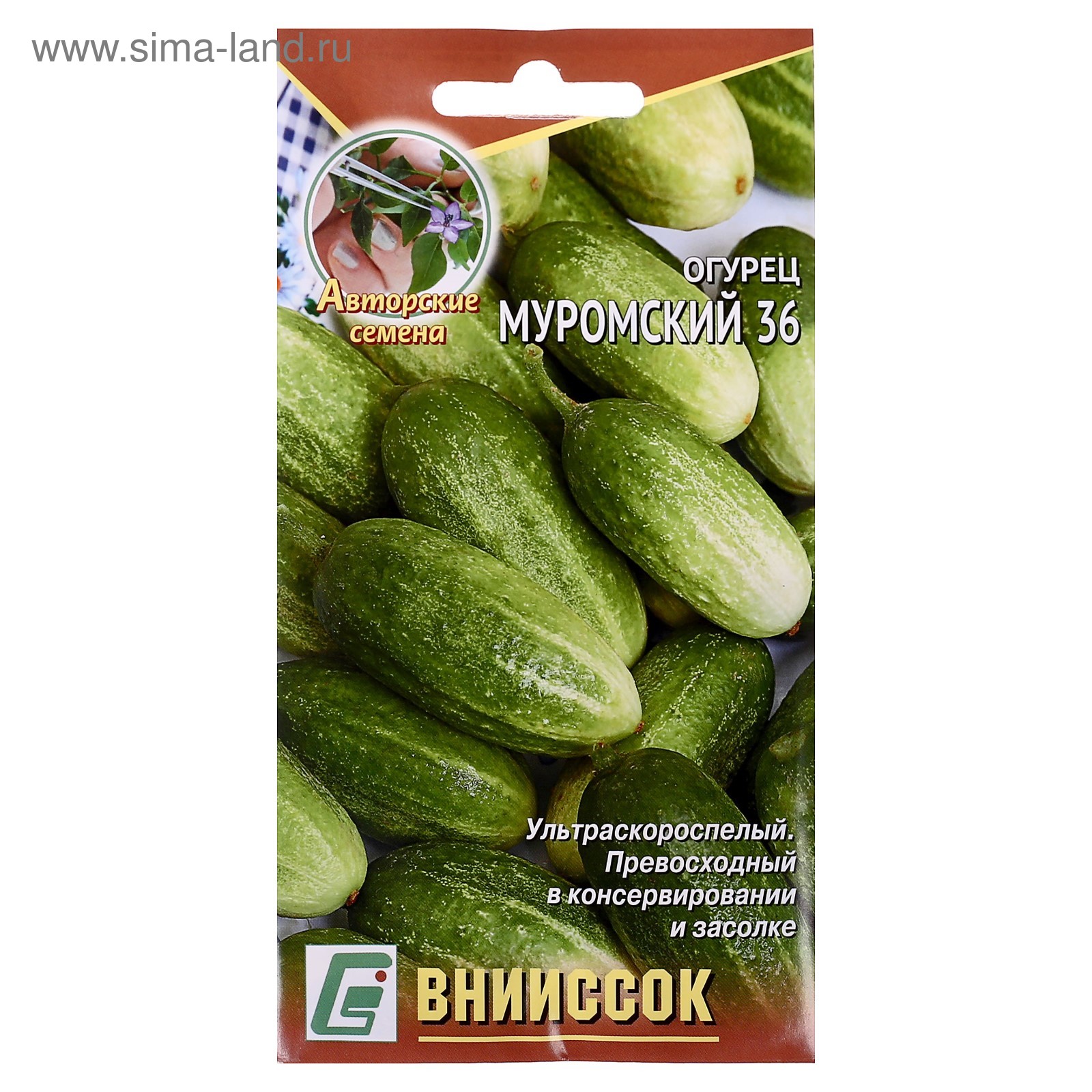 Огурец муромский описание сорта фото