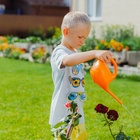 Лейка, 1 л, без рассеивателя, «Малютка», МИКС - Фото 13