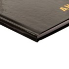 Дневник школьный для 5-11 классов, «Дабл», твёрдая обложка 7БЦ, глянцевая ламинация, 48 листов - Фото 4