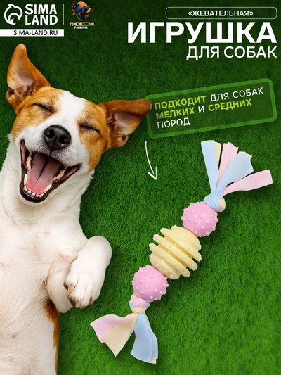 Игрушка жевательная Пижон Premium на верёвке, 3 элемента, термопластичная резина, МИКС