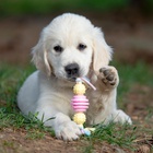 Игрушка жевательная Пижон Premium на верёвке, 3 элемента, термопластичная резина, МИКС - фото 67924279