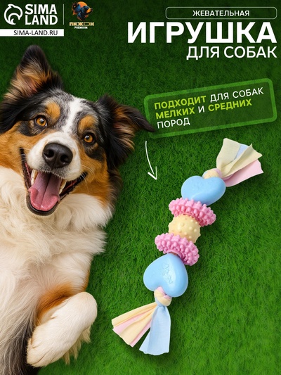 Игрушка жевательная Пижон Premium на верёвке, 5 элементов, термопластичная резина, МИКС