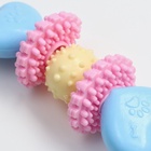 Игрушка жевательная Пижон Premium на верёвке, 5 элементов, термопластичная резина, микс - фото 60783668