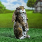 Фигура "Заяц вислоухий стоячий" 24х16 - Фото 1