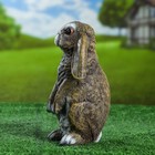 Фигура "Заяц вислоухий стоячий" 24х16 - Фото 2