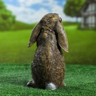 Фигура "Заяц вислоухий стоячий" 24х16 - Фото 3