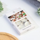 Набор свечей ароматических чайных «Кокосовый рай», в подарочной коробке, 6 шт. - Фото 5