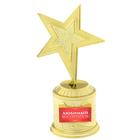 Кубок наградная фигура: звезда «Любимый воспитатель» золото, пластик, 16,5 х 6,3 см. - фото 4301557
