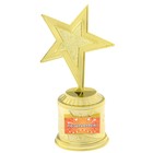 Наградная фигура: звезда литая «Поздравляем», золото, 16,5 х 6,3 см, пластик - фото 320010162