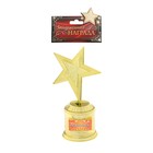 Наградная фигура: звезда литая «Поздравляем», золото, 16,5 х 6,3 см, пластик - Фото 4