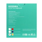 Портативная колонка Luazon Hi-Tech09, 3 Вт, 300 мАч, microSD, USB, корпус металл, золотистая - Фото 7