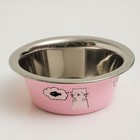 Миска стандартная "Пижон. Кошачьи мечты", 225 мл - Фото 4