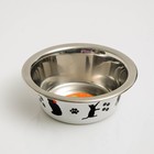 Миска стандартная "Пижон. Лучший день", 225 мл - Фото 1