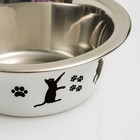 Миска стандартная "Пижон. Лучший день", 225 мл - Фото 3