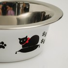 Миска стандартная "Пижон. Лучший день", 225 мл - Фото 4