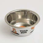 Миска стандартная "Пижон. Yoga Dog", 450 мл - фото 299692247