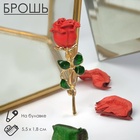 Брошь «Цветок» роза, цвет красно-зелёный в золоте - Фото 2