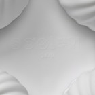 Форма для муссовых десертов и выпечки Доляна «Вихрь», 29,8×17,5×3 см, 6 ячеек (d=7,7 см), цвет МИКС - фото 4301641