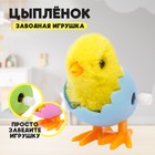 Заводная игрушка «Цыплёнок в яйце», МИКС - Фото 1