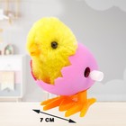 Заводная игрушка «Цыплёнок в яйце», МИКС - Фото 3