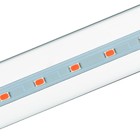 Фитолампа светодиодная, для растений, 18 Вт, 1200 мм, IP20, сине-красный спектр, фиолетовая, «ЭРА» - Фото 3