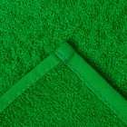 Полотенце в корз. "Тропики" 30х60 см, 100% хлопок, 360 гр/м2 - фото 24303532