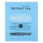 Тетрадь предметная «Арт», 40 листов в линейку "Литература" со справочным материалом, обложка мелованный картон, ВД-лак - Фото 1