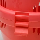 Переноска для животных до 9 кг "Пижон", металлическая дверь, 43 х 29 х 27,5 см, коралловая - Фото 9
