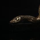 Держатель для книг "Змея" gold, 20 × 5 × 15 см - Фото 9
