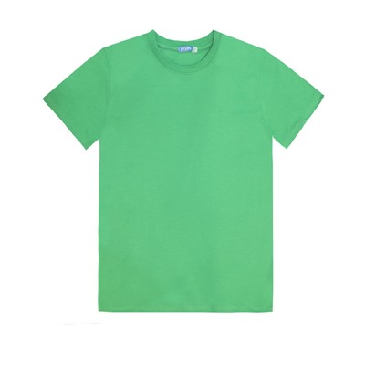 Футболка мужская, размер 44, цвет зелёный