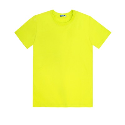 Футболка мужская, размер 44, цвет салатовый