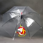 Зонт детский «Верю в чудеса!»‎ прозрачный, d=90см - фото 6281863
