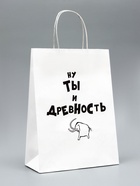Пакет подарочный с приколами «Ну ты и», 24 х 14 х 30 см 4836673 - фото 14497611