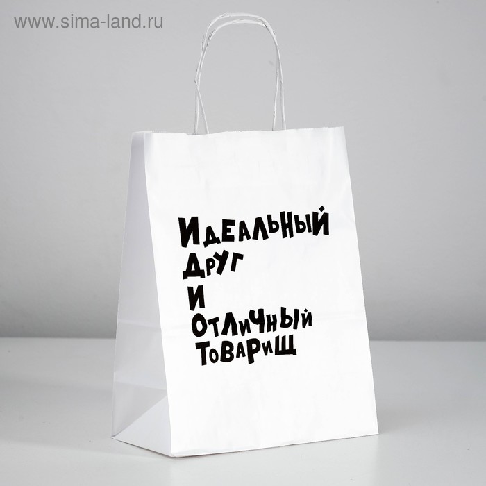 Пакет подарочный с приколами «Идеальный Друг И Отличный Товарищ», 24 х 14 х 30 см - Фото 1