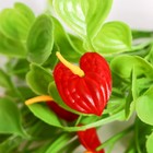 Букет искусственный «Антуриум», h=30 см (комплект 2 шт) - фото 21044205