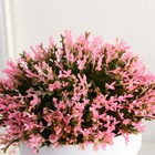 Бонсай в горшке "Мелкие цветочки" 8х12 см, микс - фото 7509292