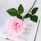 Цветок искусственный "Роза Прима" 11х45 см, розовый - фото 6282237
