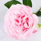 Цветок искусственный "Роза Прима" 11х45 см, розовый - фото 6282238