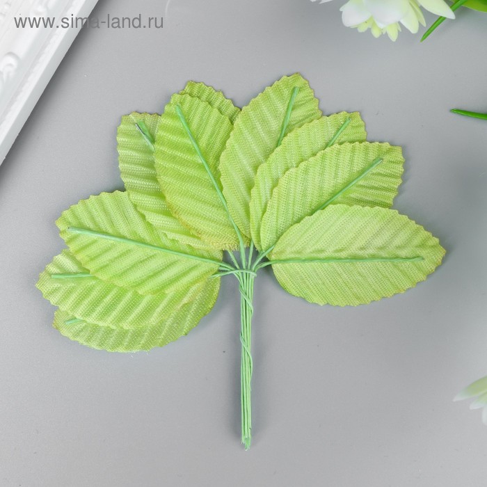 Декор для творчества "Листья дикого лайма" (1 набор=1 букет) в букете 10 шт 11х3 см - Фото 1
