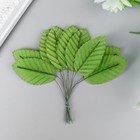 Декор для творчества "Листья весенние" (1 набор=1 букет) в букете 10 шт 11х3 см - фото 318302584