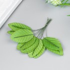 Декор для творчества "Листья весенние" (1 набор=1 букет) в букете 10 шт 11х3 см - Фото 2