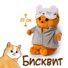 Мягкая игрушка «Кот Бисквит», в пижаме, 30 см - фото 614836